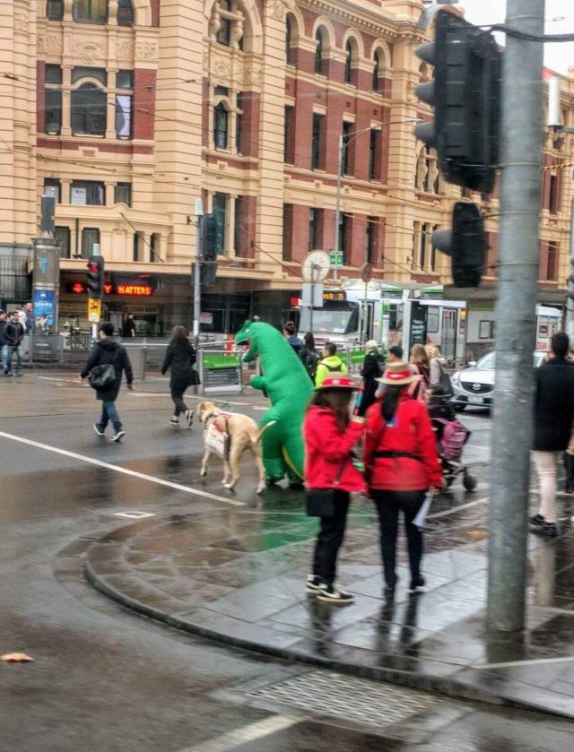 Daily Picdump [WEEKEND EDITION]