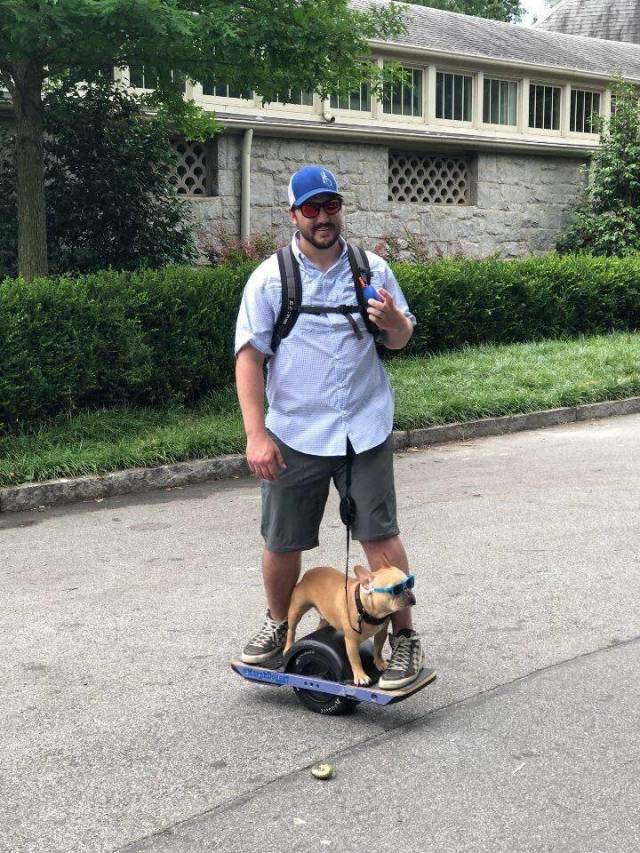 daily picdump weekend edition 72 pics 29.html - 72 HD Photos | Premium Gallery 2018