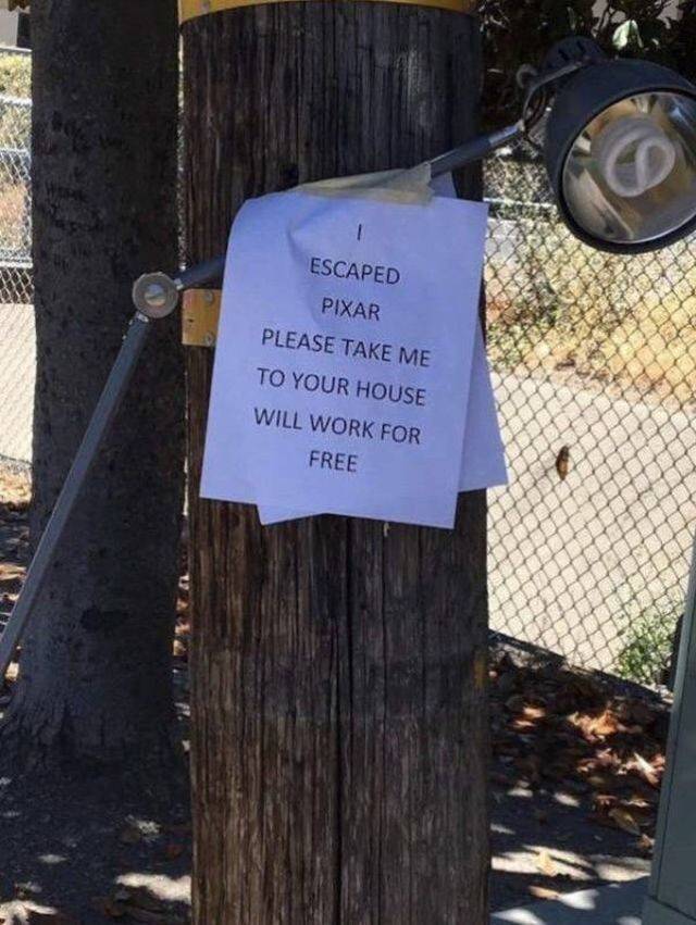 daily picdump weekend edition 72 pics 29.html - 72 HD Photos | Premium Gallery 2018