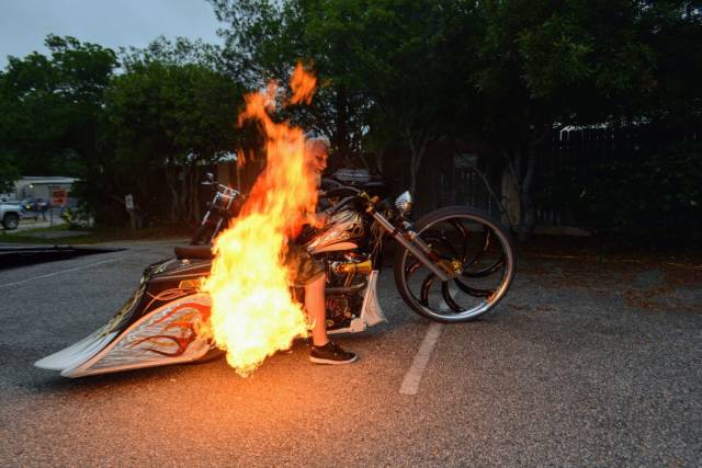 daily picdump 98 pics 19.html - 98 HD Photos | Premium Gallery 2018