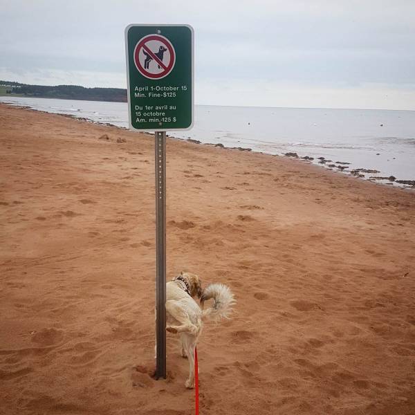 daily picdump 98 pics 19.html - 98 HD Photos | Premium Gallery 2018