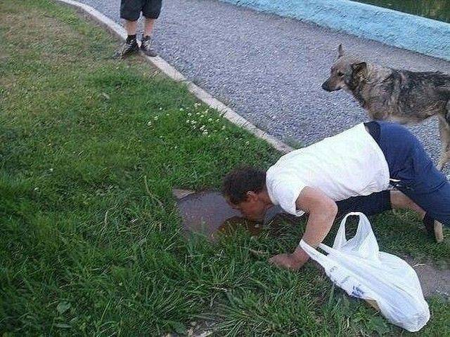 daily picdump 98 pics 19.html - 98 HD Photos | Premium Gallery 2018