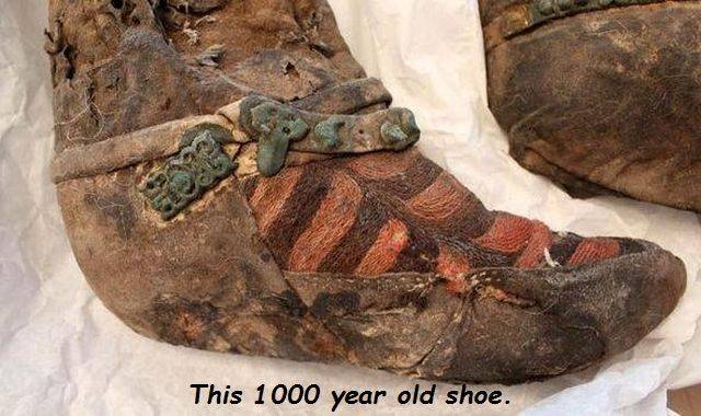 daily picdump 98 pics 19.html - 98 HD Photos | Premium Gallery 2018