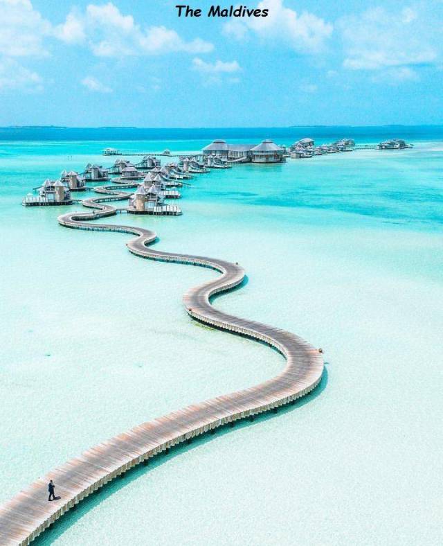 daily picdump 98 pics 19.html - 98 HD Photos | Premium Gallery 2018