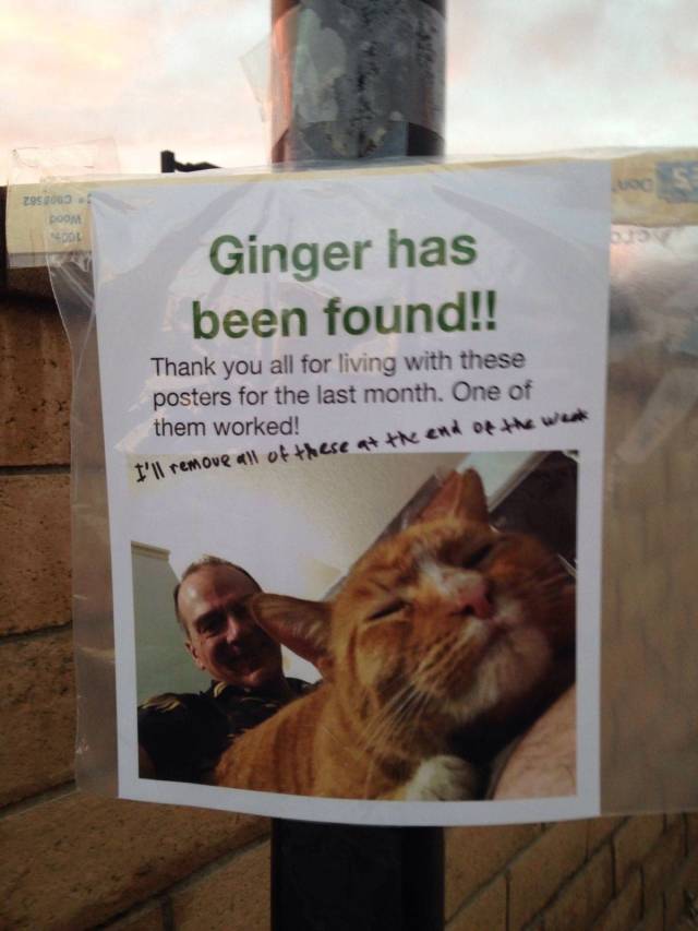 daily picdump 98 pics 19.html - 98 HD Photos | Premium Gallery 2018