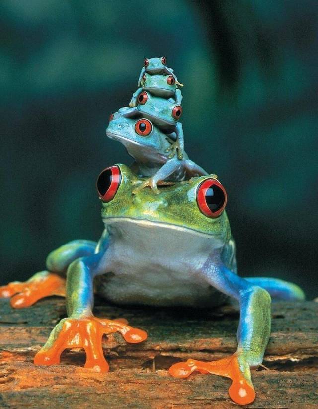 daily picdump 98 pics 19.html - 98 HD Photos | Premium Gallery 2018