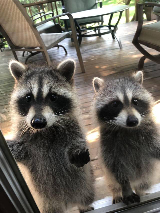 daily picdump 98 pics 19.html - 98 HD Photos | Premium Gallery 2018