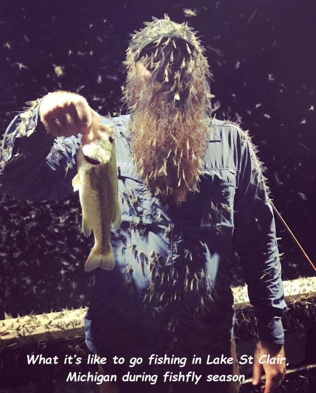 daily picdump 98 pics 19.html - 98 HD Photos | Premium Gallery 2018