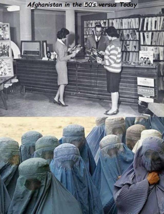 daily picdump 98 pics 19.html - 98 HD Photos | Premium Gallery 2018