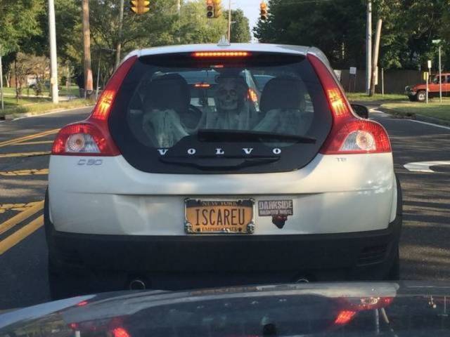 funny picdump 54 pics 7.html - 54 HD Photos | Premium Gallery 2018