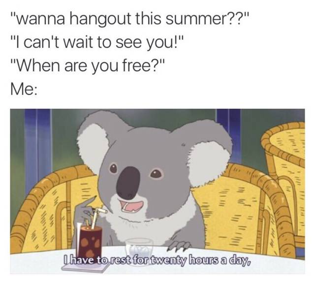 funny picdump 54 pics 7.html - 54 HD Photos | Premium Gallery 2018