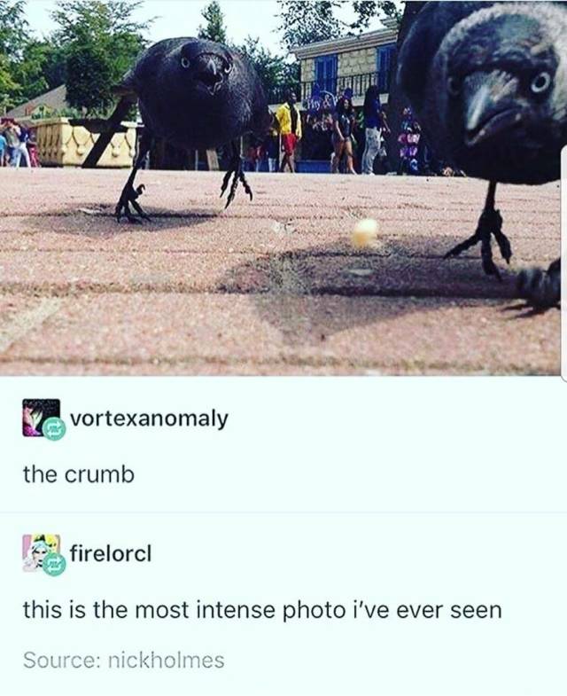 funny picdump 54 pics 7.html - 54 HD Photos | Premium Gallery 2018