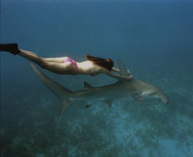 daily picdump 94 pics 8.html - 94 HD Photos | Premium Gallery 2018