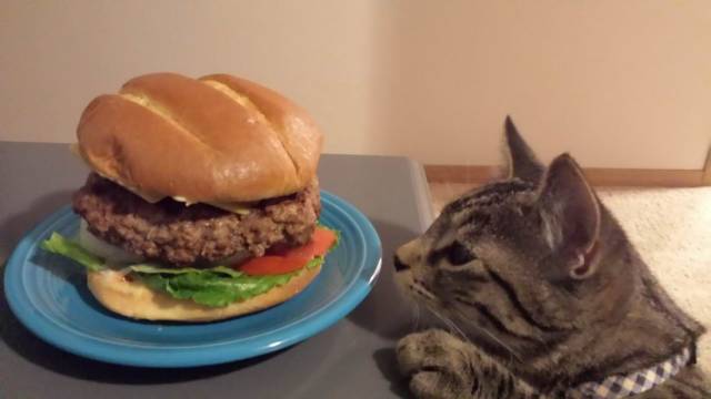 daily picdump 94 pics 8.html - 94 HD Photos | Premium Gallery 2018