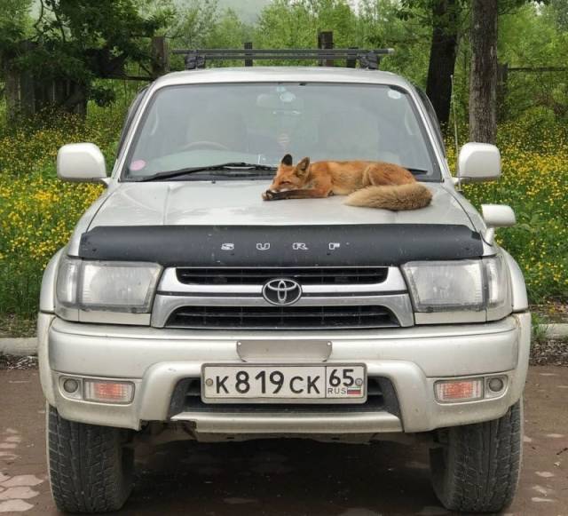 daily picdump 94 pics 8.html - 94 HD Photos | Premium Gallery 2018