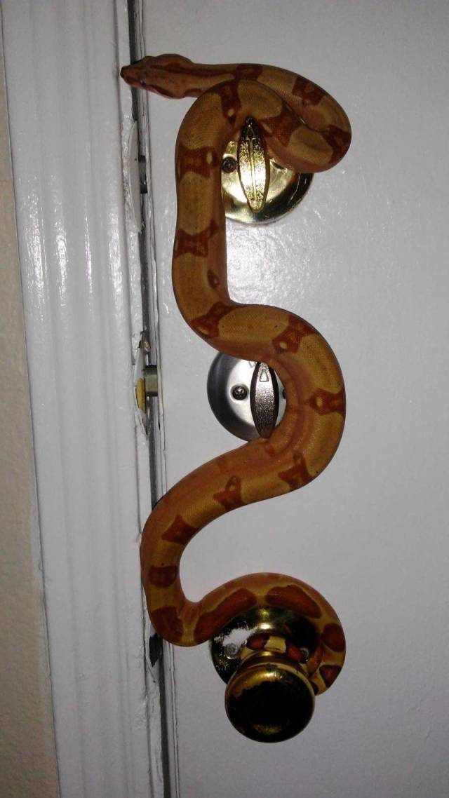 daily picdump 94 pics 8.html - 94 HD Photos | Premium Gallery 2018