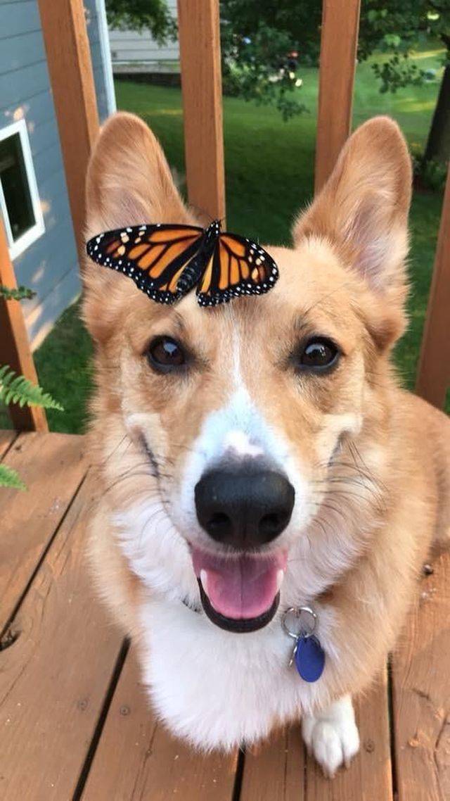 daily picdump 94 pics 8.html - 94 HD Photos | Premium Gallery 2018