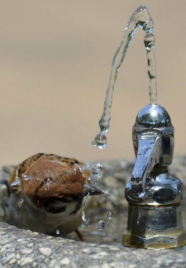 Dirty Mind, Come Here!