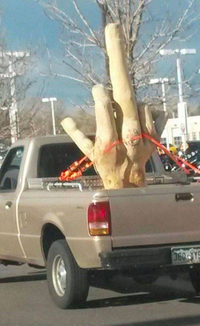 Dirty Mind, Come Here!