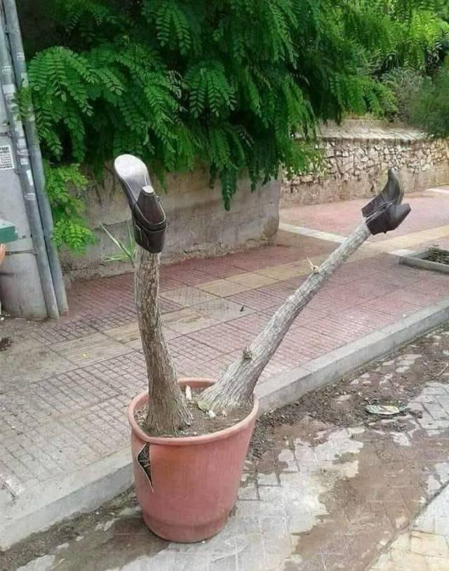 Dirty Mind, Come Here!