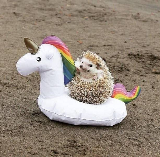 daily picdump 98 pics 48.html - 98 HD Photos | Premium Gallery 2018