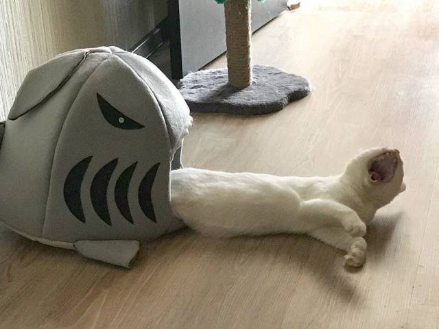 daily picdump 98 pics 48.html - 98 HD Photos | Premium Gallery 2018