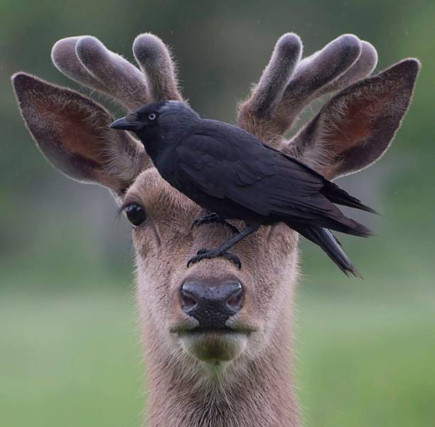 daily picdump 98 pics 48.html - 98 HD Photos | Premium Gallery 2018