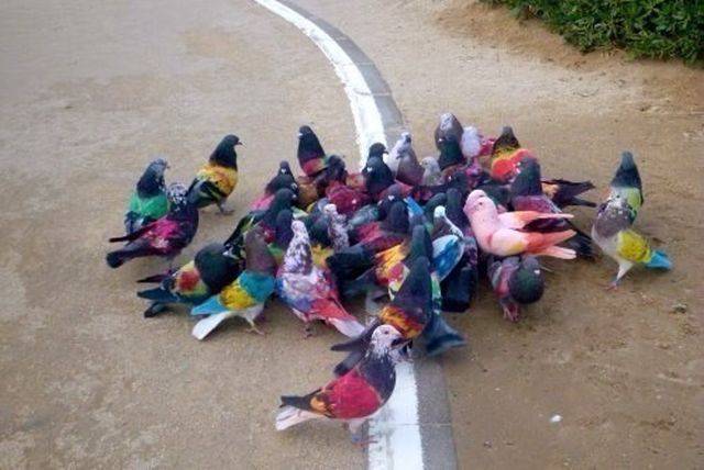 daily picdump 98 pics 48.html - 98 HD Photos | Premium Gallery 2018