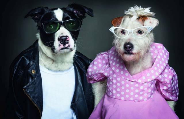 daily picdump 98 pics 48.html - 98 HD Photos | Premium Gallery 2018