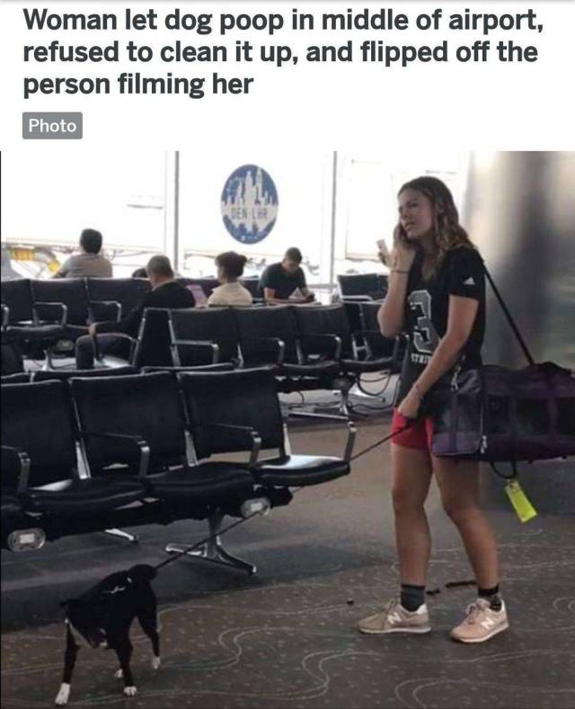 daily picdump 98 pics 48.html - 98 HD Photos | Premium Gallery 2018