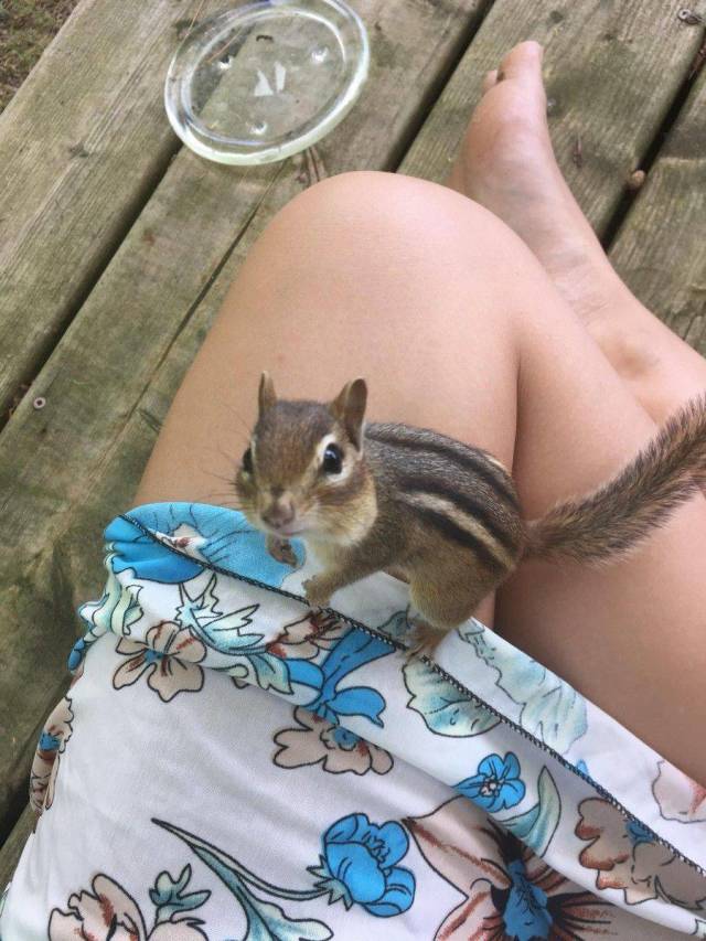 daily picdump 98 pics 48.html - 98 HD Photos | Premium Gallery 2018