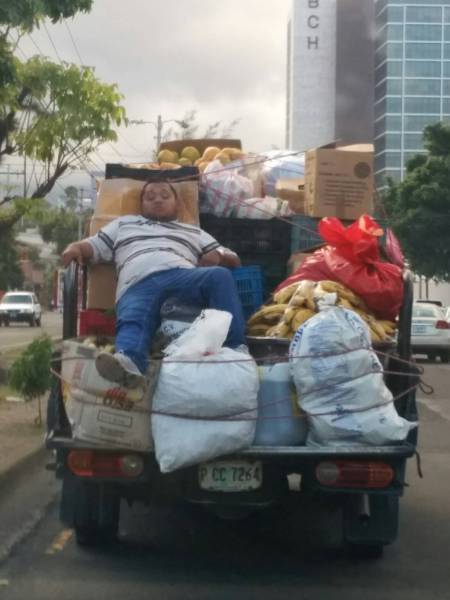 funny picdump 51 pics 8.html - 51 HD Photos | Premium Gallery 2018