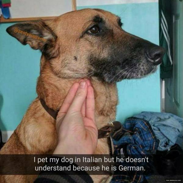 funny picdump 51 pics 8.html - 51 HD Photos | Premium Gallery 2018