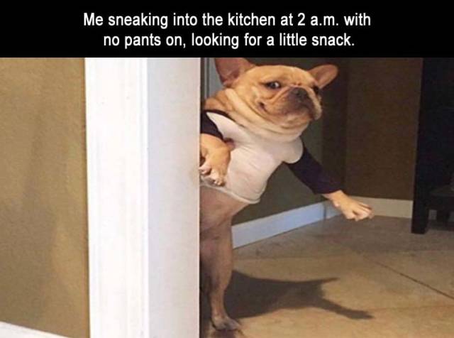 funny picdump 51 pics 8.html - 51 HD Photos | Premium Gallery 2018