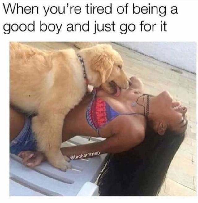 funny picdump 51 pics 8.html - 51 HD Photos | Premium Gallery 2018