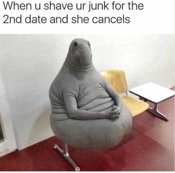 Sex Memes Always Make It Hotter