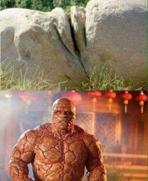 Sex Memes Always Make It Hotter