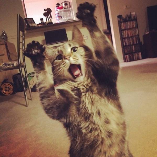 daily picdump 99 pics 50.html - 99 HD Photos | Premium Gallery 2018