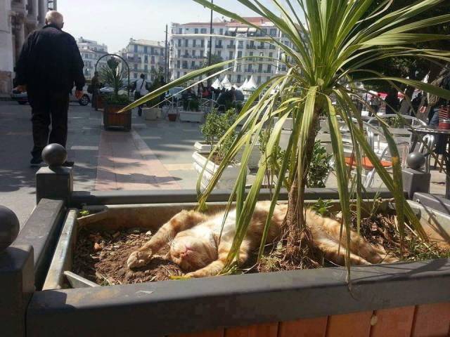 daily picdump 99 pics 50.html - 99 HD Photos | Premium Gallery 2018