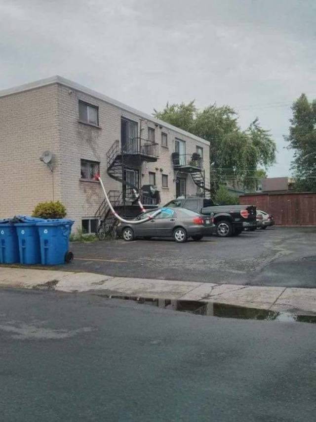 daily picdump 99 pics 50.html - 99 HD Photos | Premium Gallery 2018