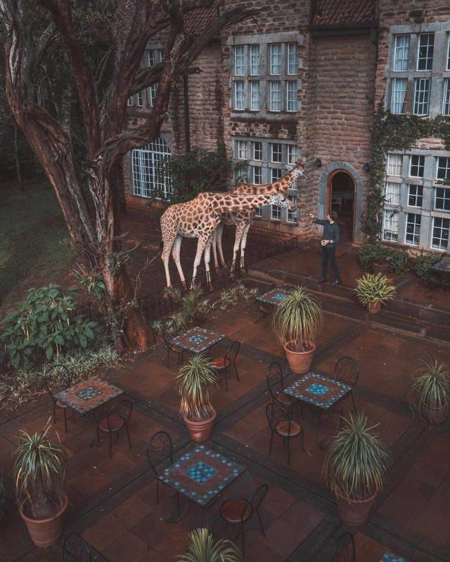 daily picdump 99 pics 50.html - 99 HD Photos | Premium Gallery 2018