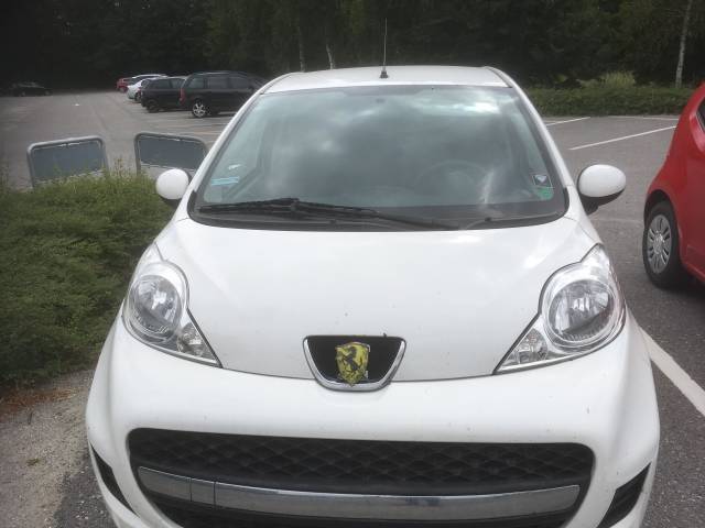 morning picdump 52 pics 13.html - 52 HD Photos | Premium Gallery 2018