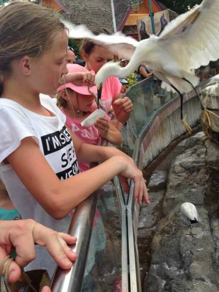 morning picdump 52 pics 13.html - 52 HD Photos | Premium Gallery 2018