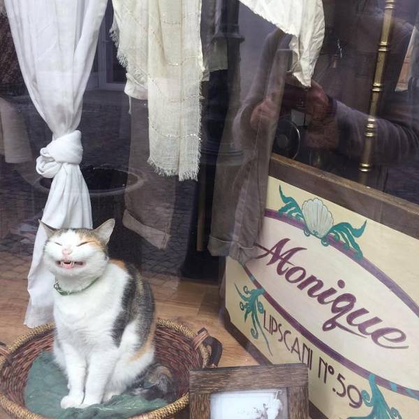 daily picdump 96 pics 42.html - 96 HD Photos | Premium Gallery 2018