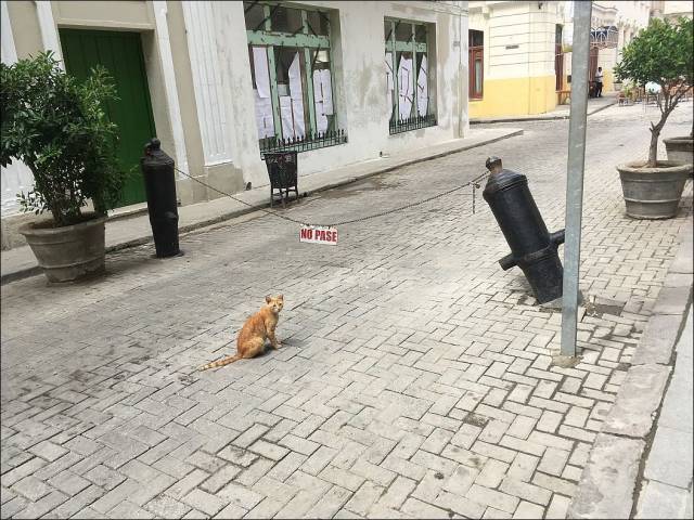 daily picdump 96 pics 42.html - 96 HD Photos | Premium Gallery 2018