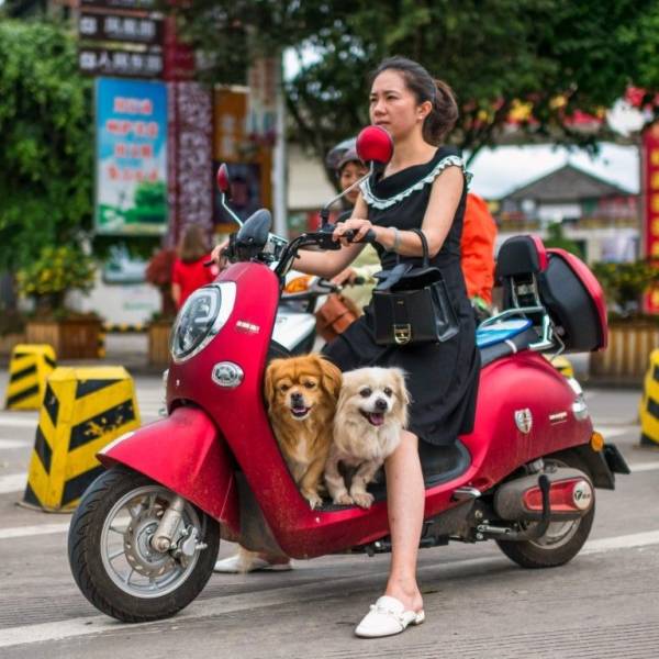 daily picdump 96 pics 42.html - 96 HD Photos | Premium Gallery 2018