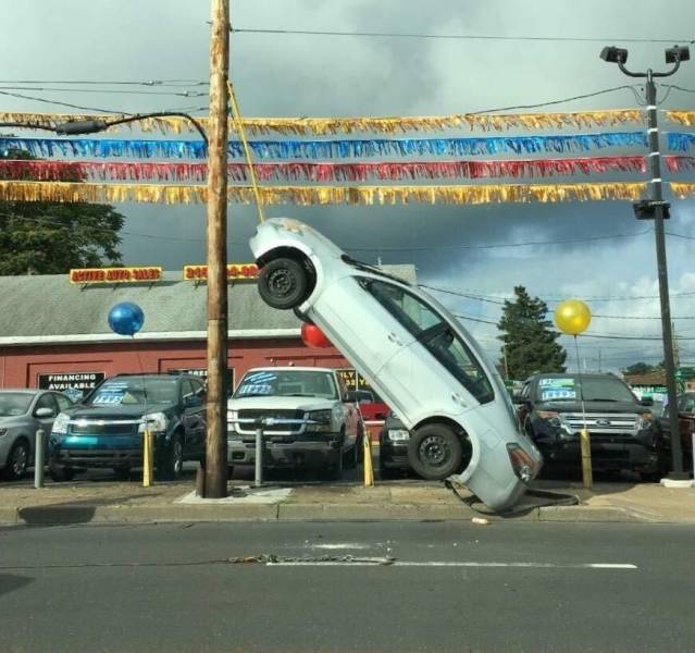 daily picdump 96 pics 42.html - 96 HD Photos | Premium Gallery 2018