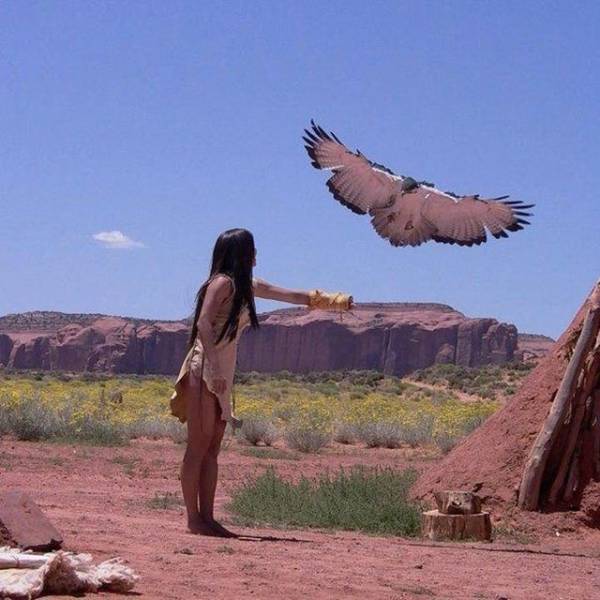 daily picdump 96 pics 42.html - 96 HD Photos | Premium Gallery 2018