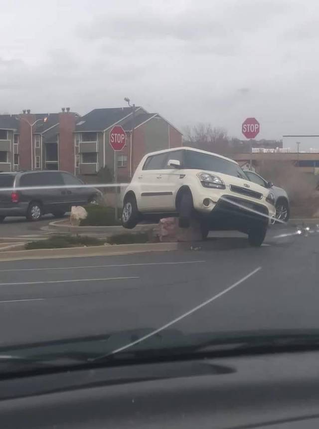 daily picdump 96 pics 42.html - 96 HD Photos | Premium Gallery 2018