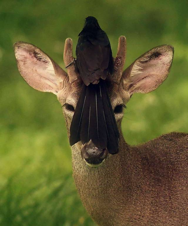 daily picdump 96 pics 42.html - 96 HD Photos | Premium Gallery 2018